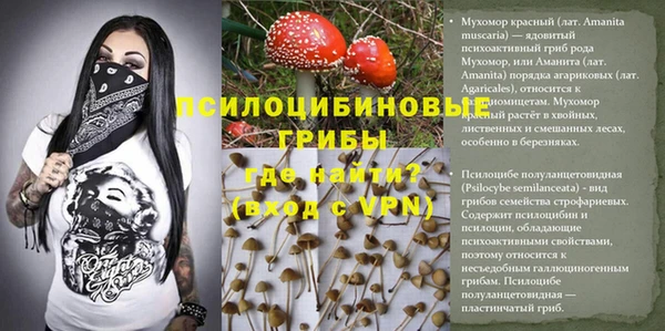 экстази Алексин