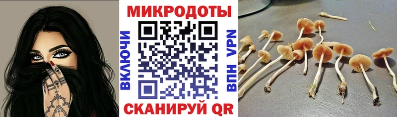 Псилоцибиновые грибы GOLDEN TEACHER  дарнет шоп  Елабуга 